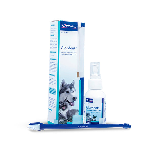 Clordent Spray FCO x 120 ML|Medicamentos perros y gatos|Anipet Colombia