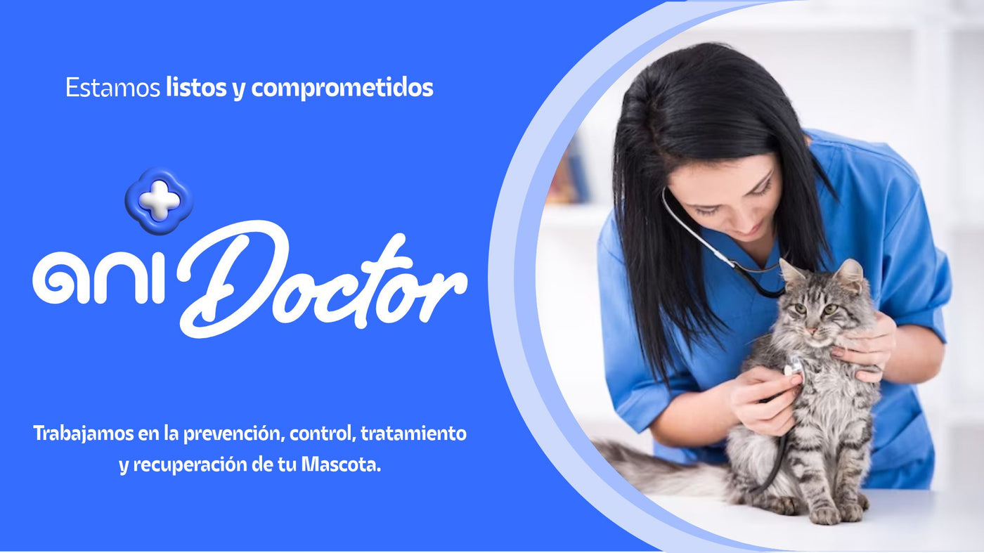 Ani Doctor Anipet Colombia